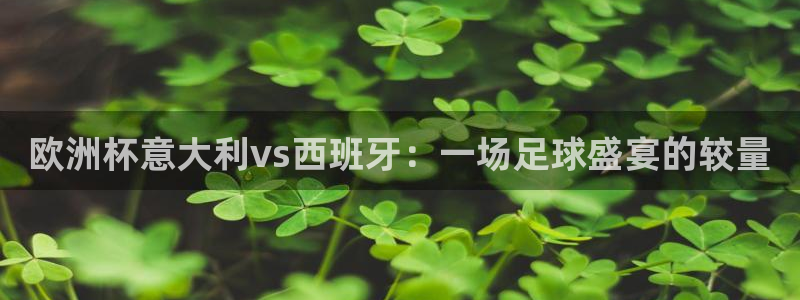 世界杯足球比赛:欧洲杯意大利vs西班牙:一场足球盛宴的较量