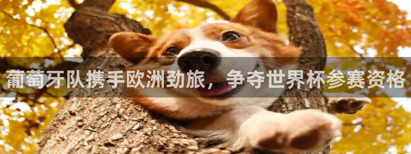 世界杯预选赛欧洲区赛程:葡萄牙队携手欧洲劲旅,争夺世界杯参赛资格