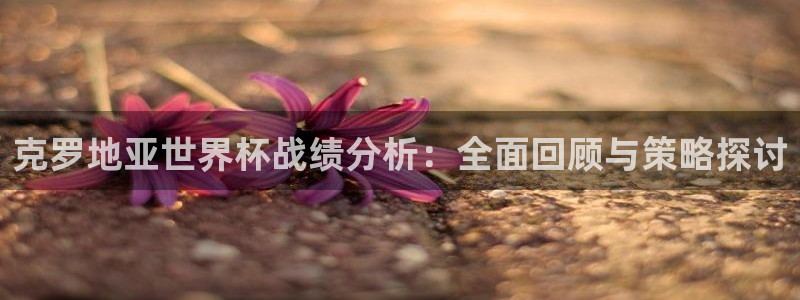 2026世界杯买球:克罗地亚世界杯战绩分析:全面回顾与策略探讨