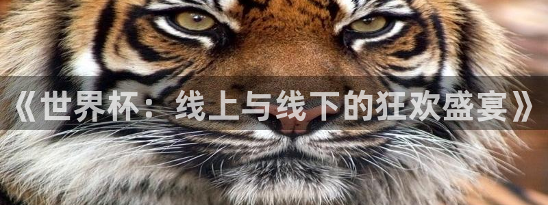 美国世界杯:《世界杯:线上与线下的狂欢盛宴》