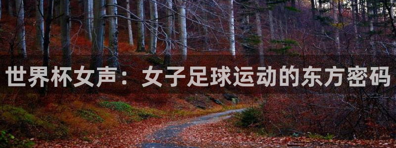 世界杯今日赛程直播:世界杯女声:女子足球运动的东方密码