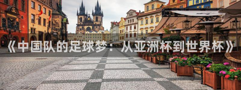 世界杯 直播:《中国队的足球梦:从亚洲杯到世界杯》