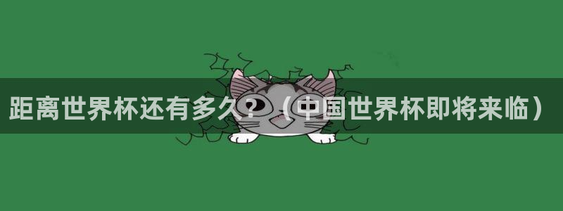 2026足球世界杯赛程时间表:距离世界杯还有多久?(中国世界杯即将来临)