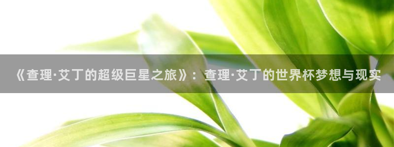 世界杯欧洲区赛程:《查理·艾丁的超级巨星之旅》:查理·艾丁的世界杯梦想与现实