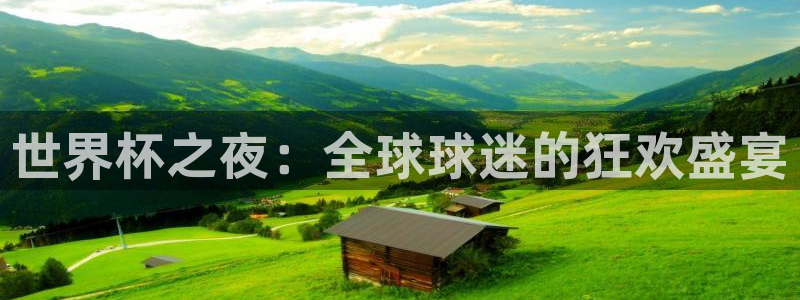 26世界杯:世界杯之夜:全球球迷的狂欢盛宴