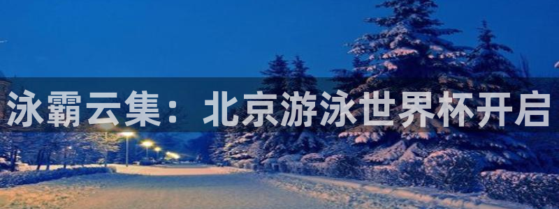 世界杯足球比赛:泳霸云集:北京游泳世界杯开启