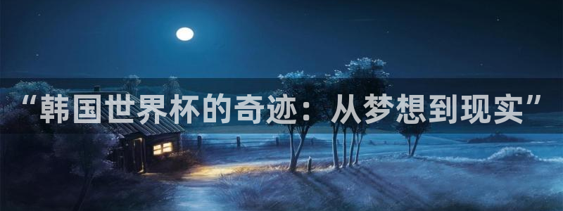 2026世界杯赛:“韩国世界杯的奇迹:从梦想到现实”