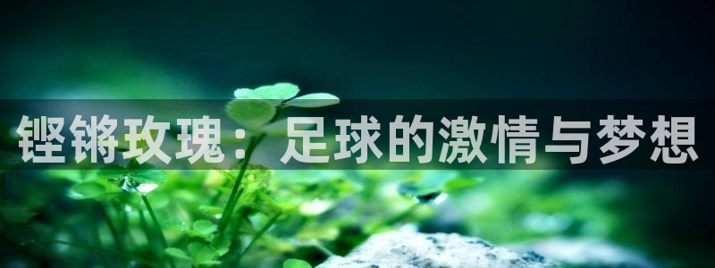 世界杯赛程表2026:铿锵玫瑰:足球的激情与梦想